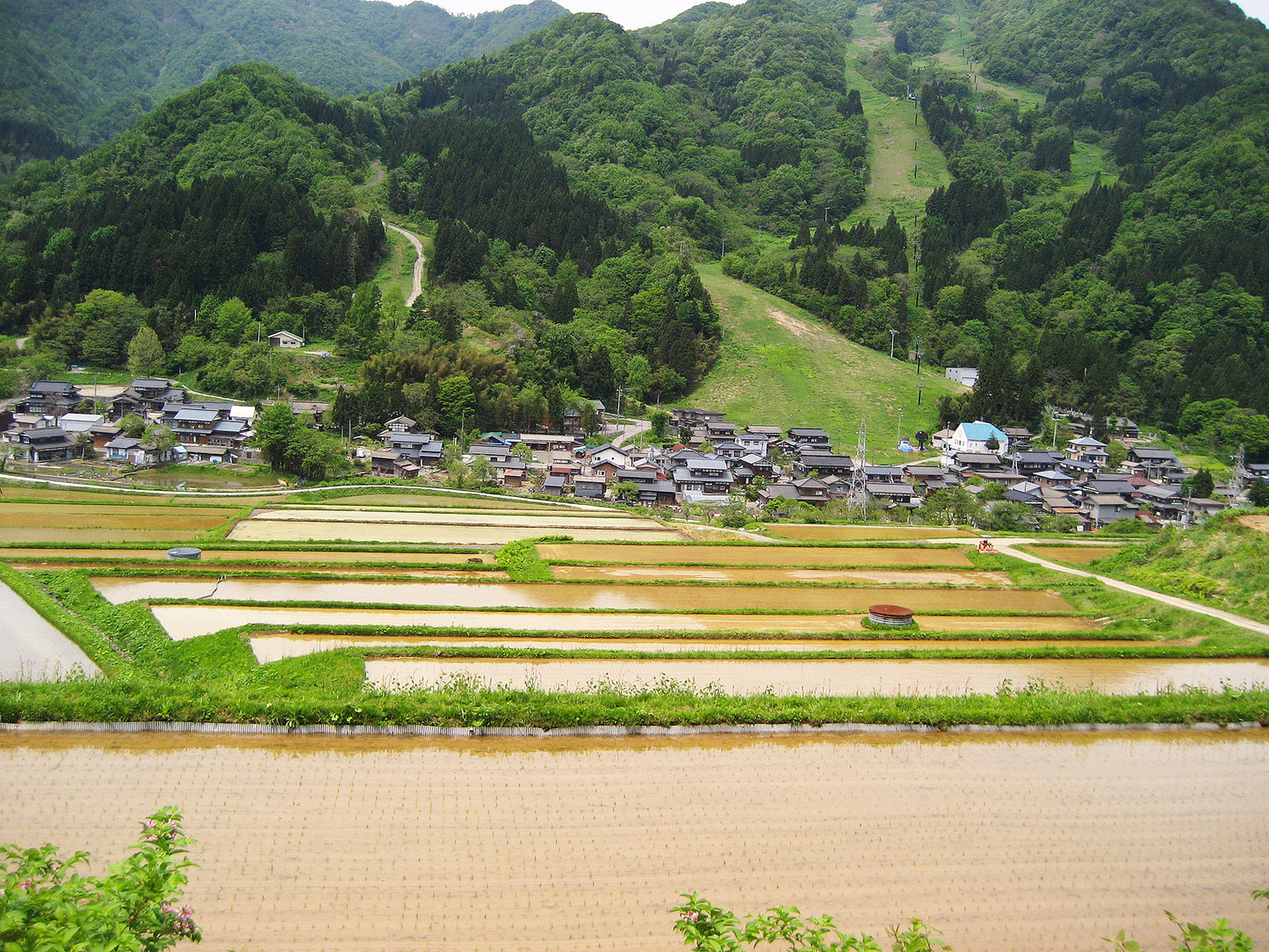 【予約商品】令和7年度米 岩船産コシヒカリ 3kg【新米】